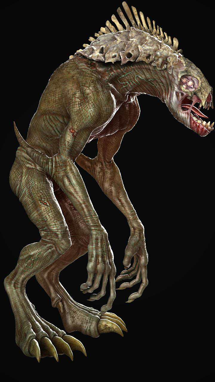 a.jpg