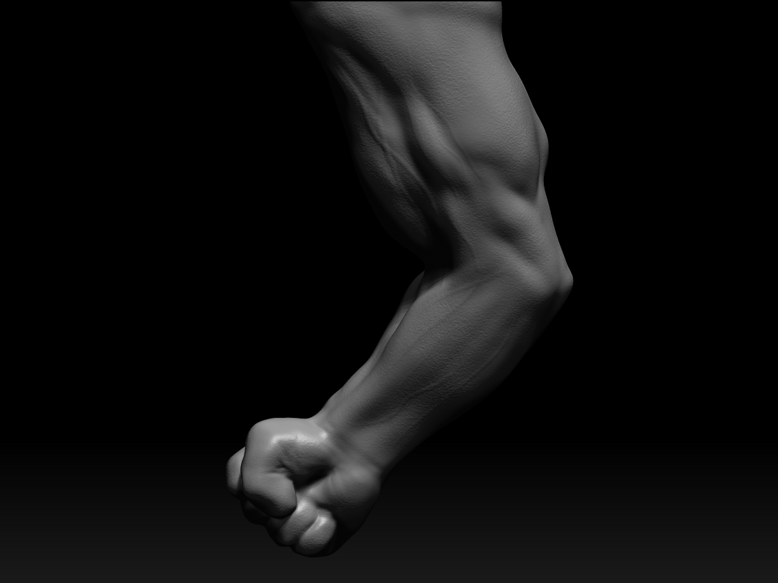 Anterior.jpg