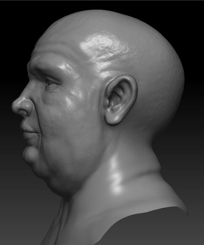 FatMale_Bust03.JPG