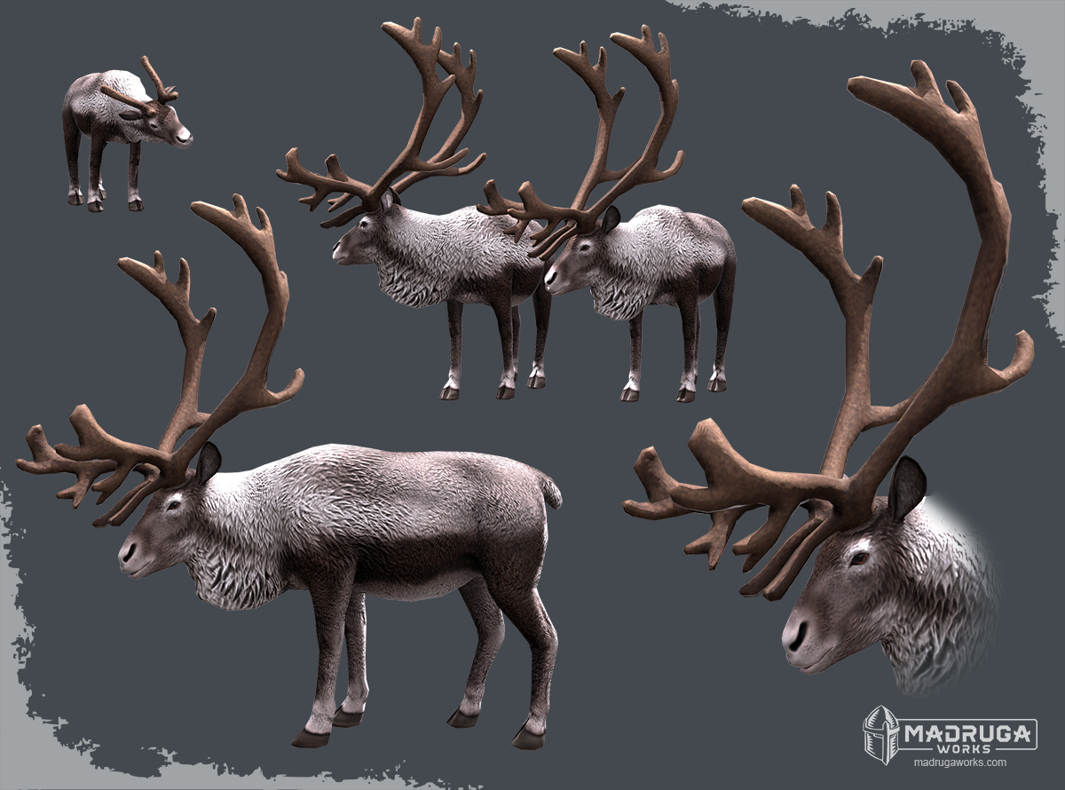 reindeer