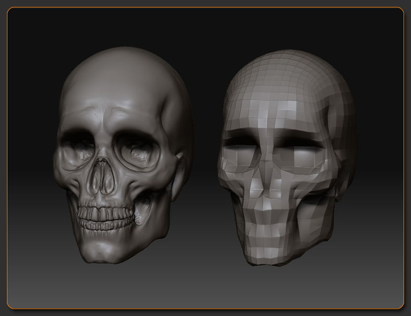 head-skull.jpg
