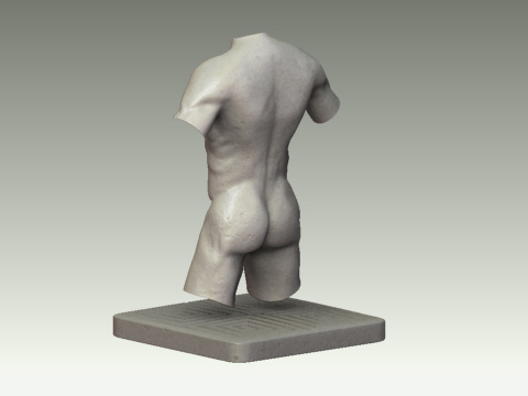 torso3.jpg