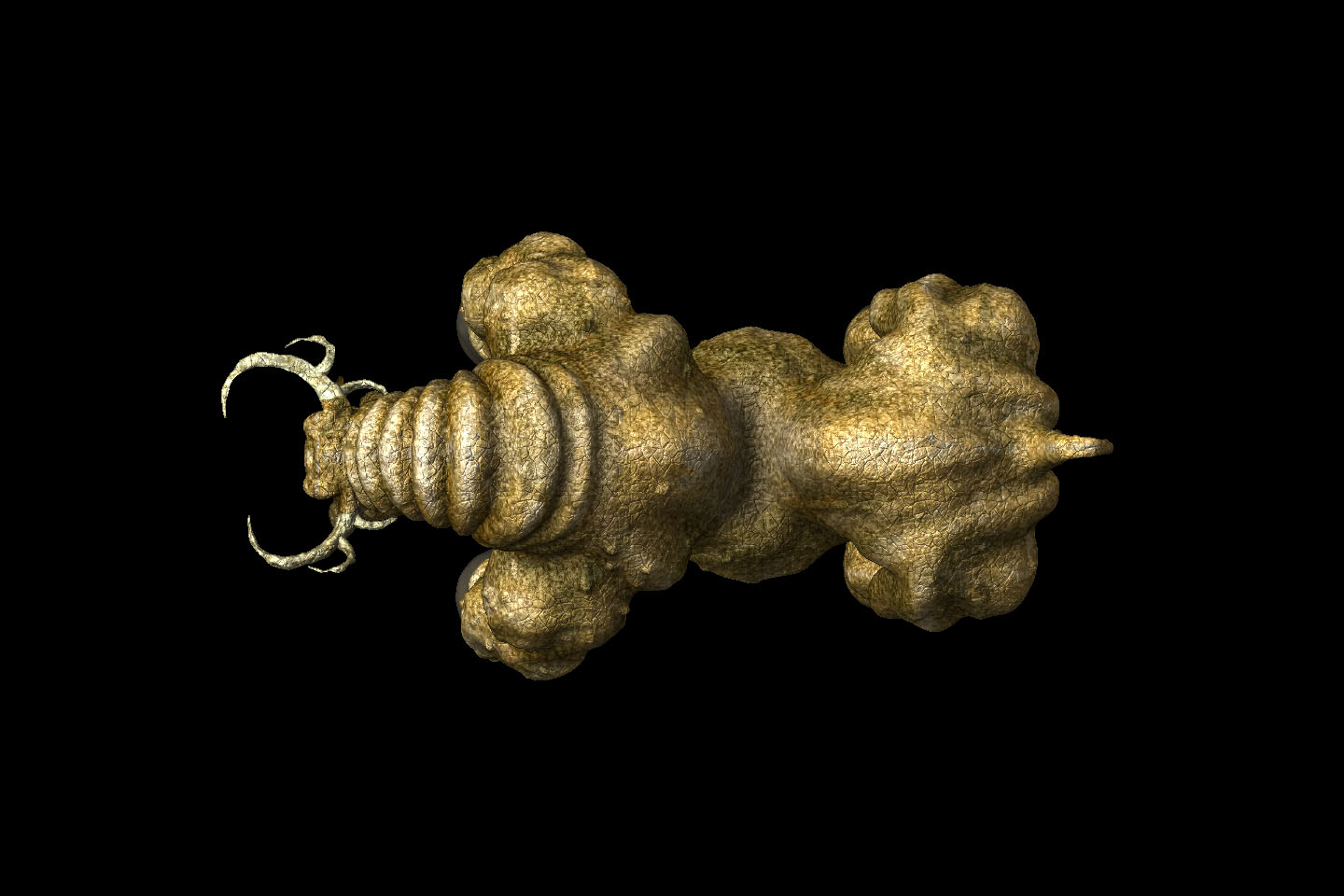 bullon_top.jpg