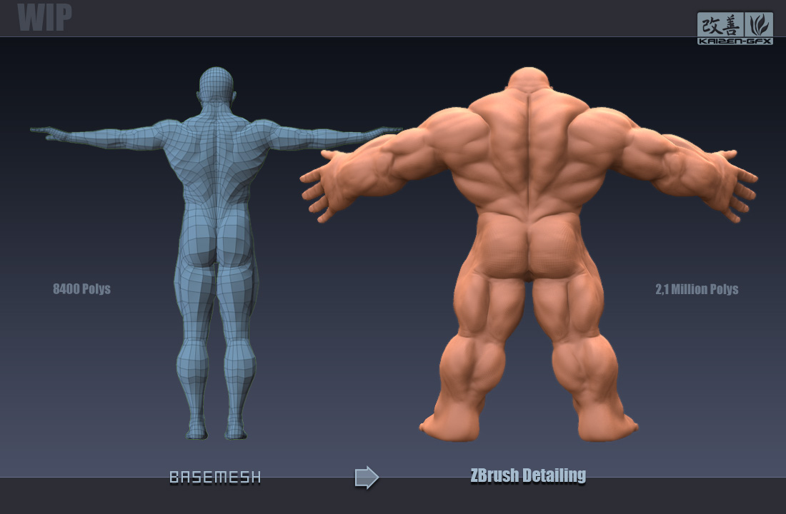 WIP_back_01.jpg