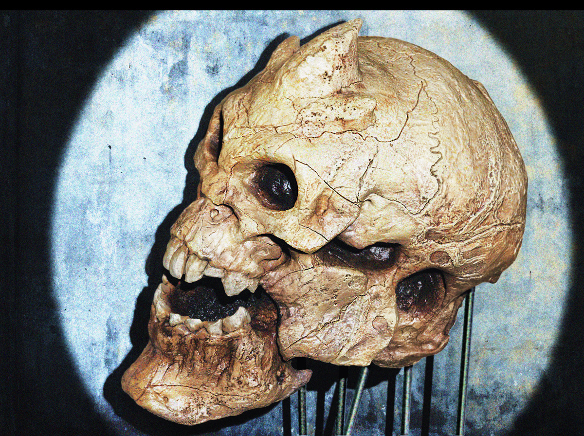 Monster_Skull.jpg