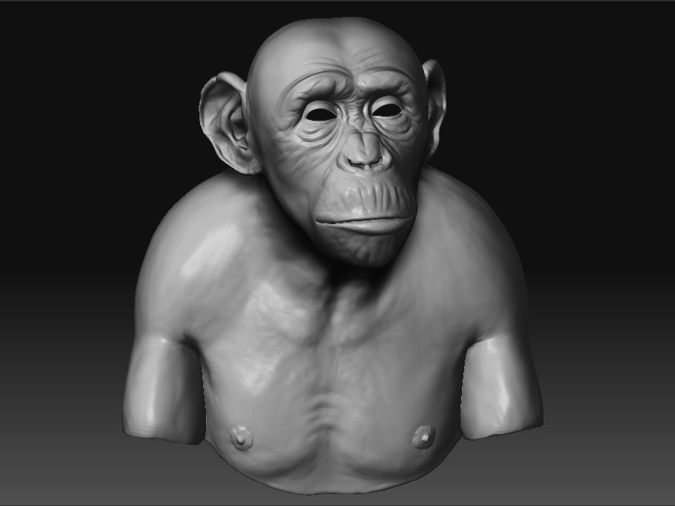chimpZTool.jpg