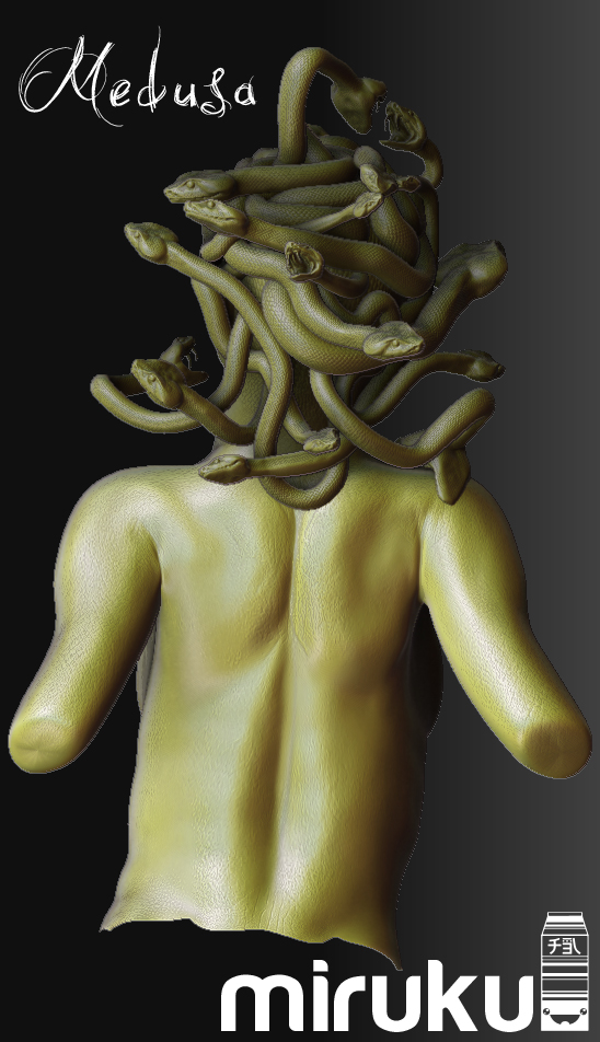 Medusa Back 1.jpg