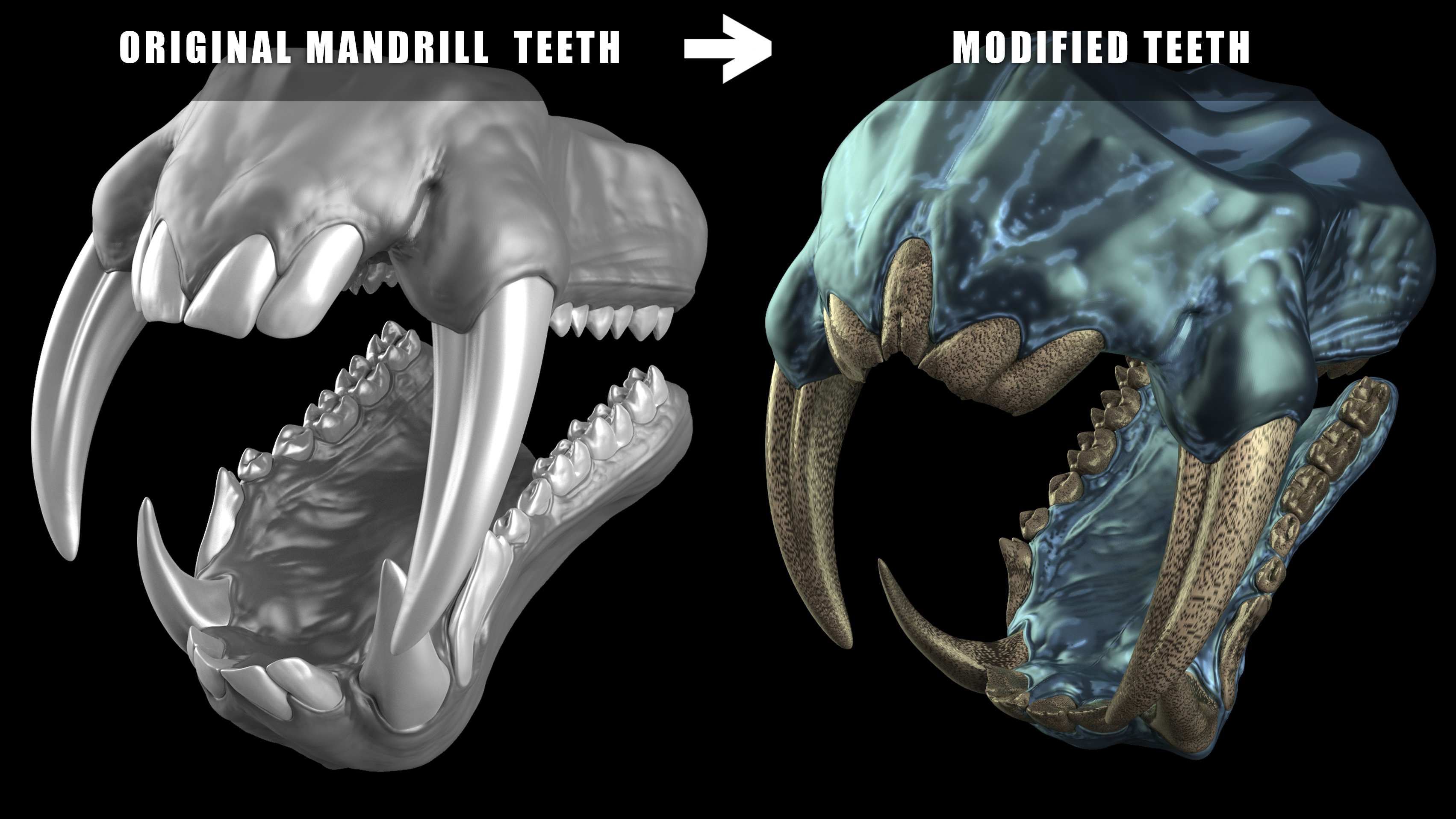 Teeth_Kits_Master_Views_Mandrill_09.jpg
