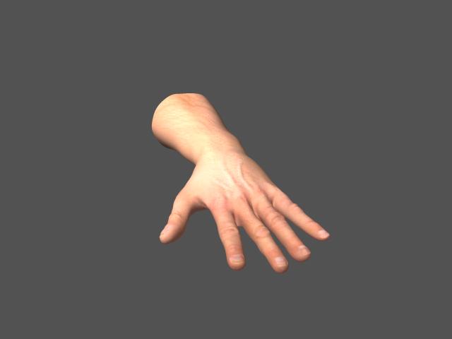 HandRenderTop.jpg