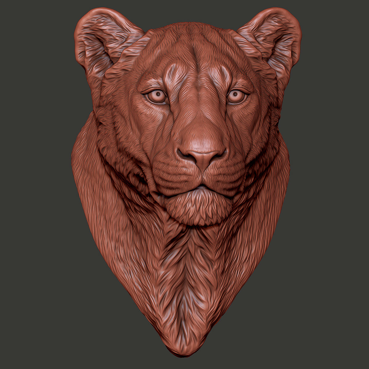lioness-zbrush-sculpt-BW-02