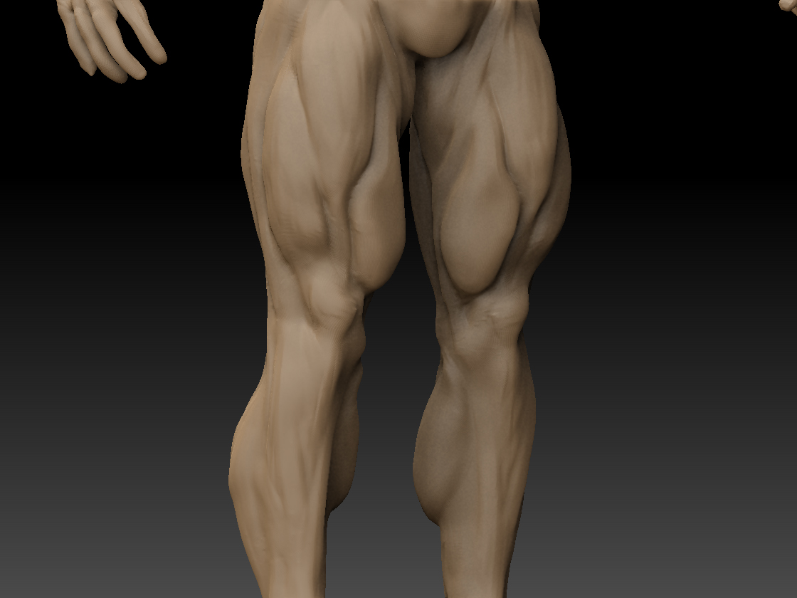 04_Legs.jpg