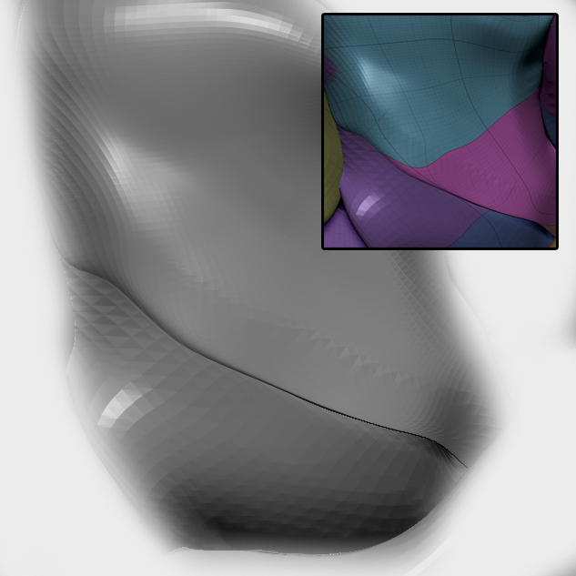 polymesh.jpg