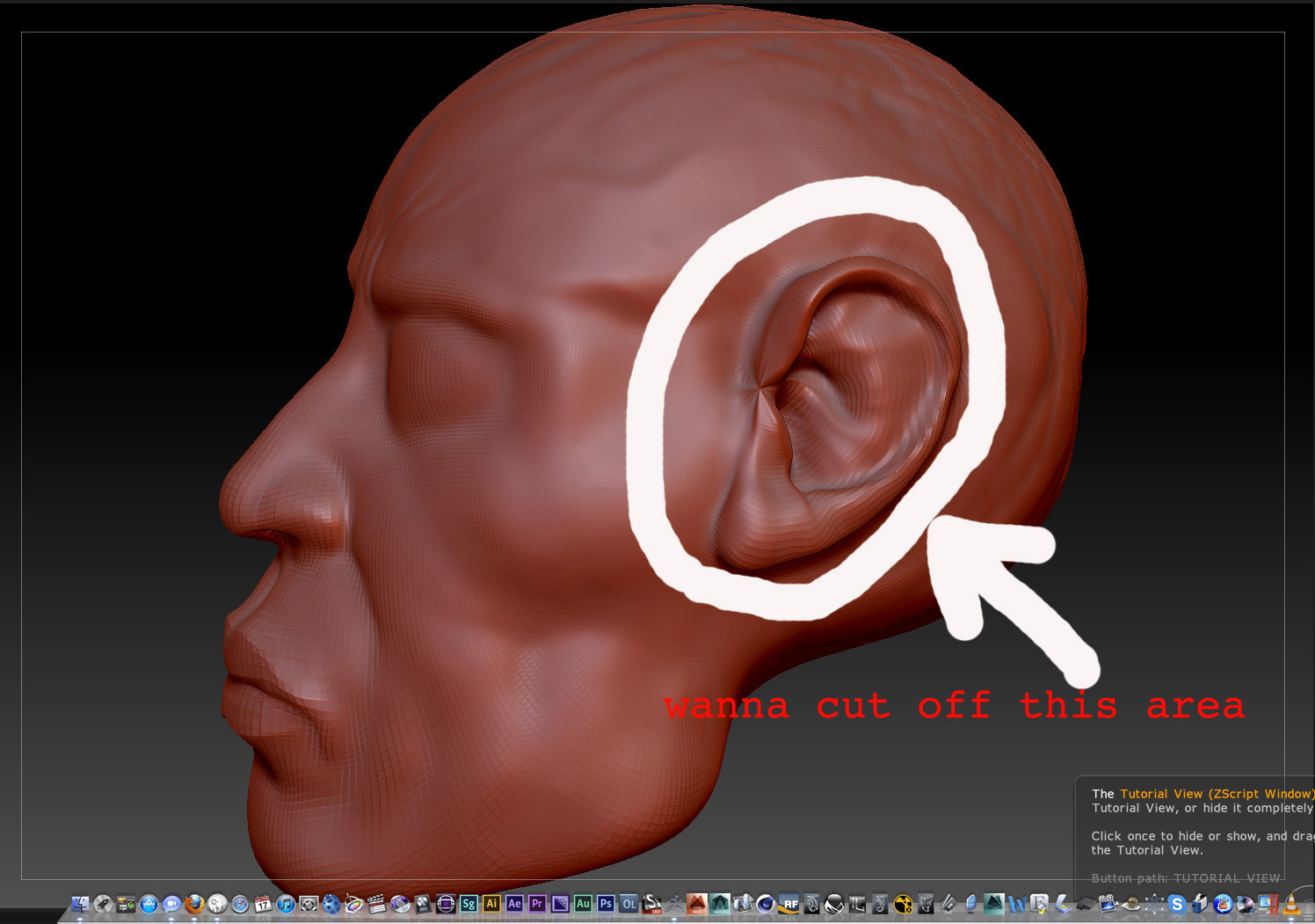 head.jpg