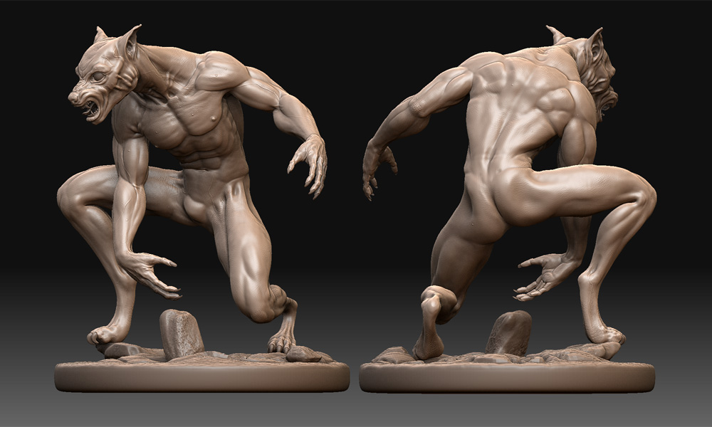 front_back.jpg