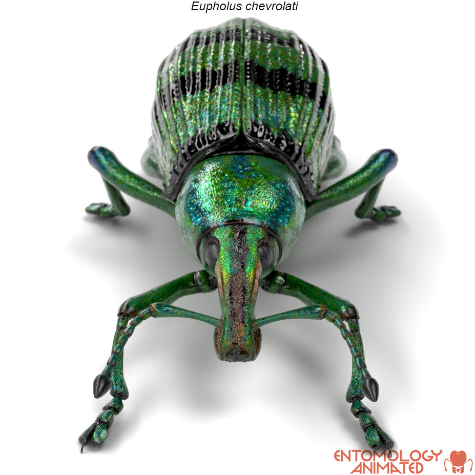 eric-keller-e-chevrolati-render-05