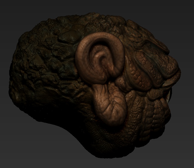 EyeThing-4.jpg