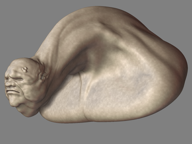 LibBody1a.jpg