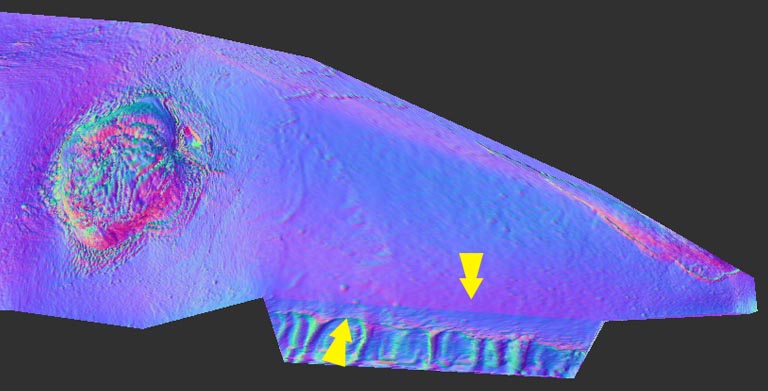 zMapper_Normal_Map_Texture.jpg