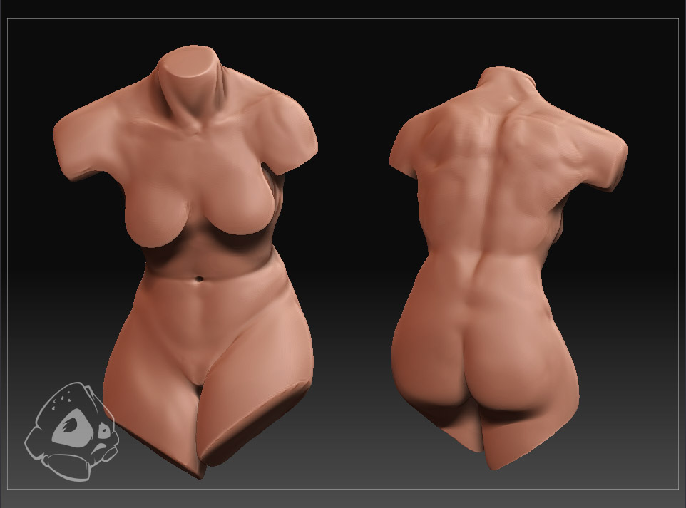 womantorso.jpg