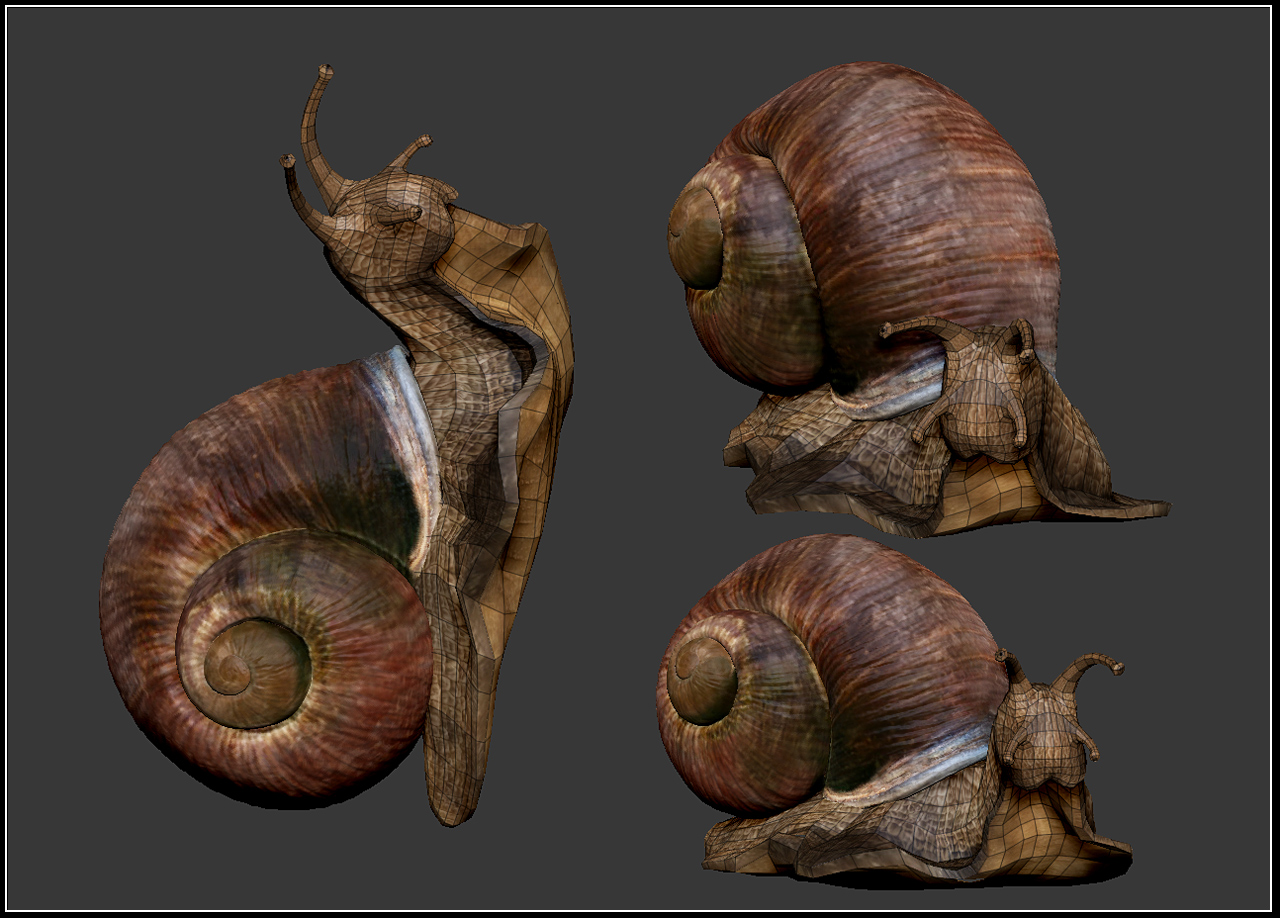 snail_3d4all_03.jpg