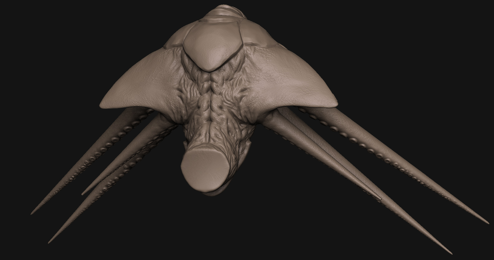 kraken2.jpg