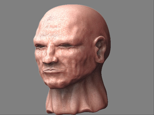 head.jpg