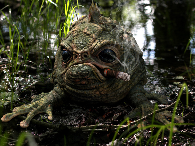 frog_D.22_small.jpg