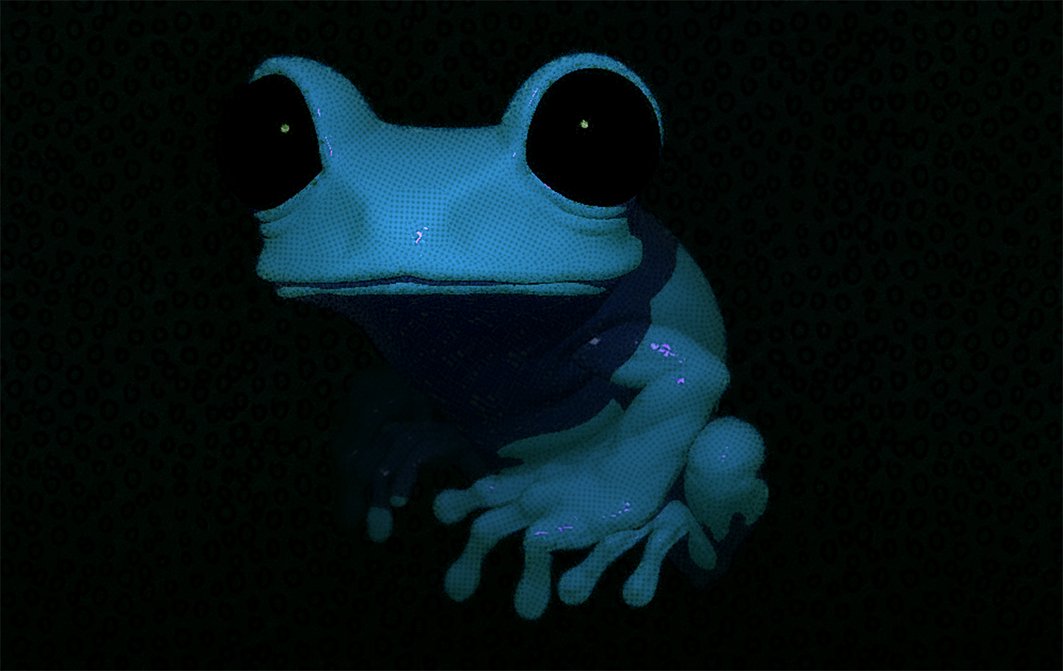 NPR Frog1.jpg