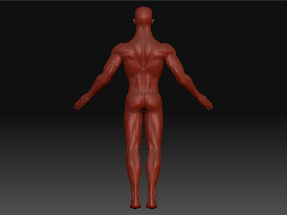 back.jpg
