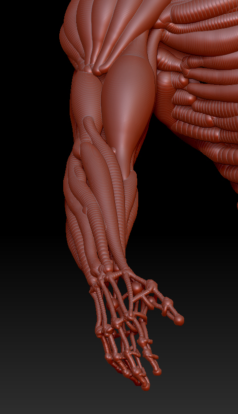 Hand.jpg