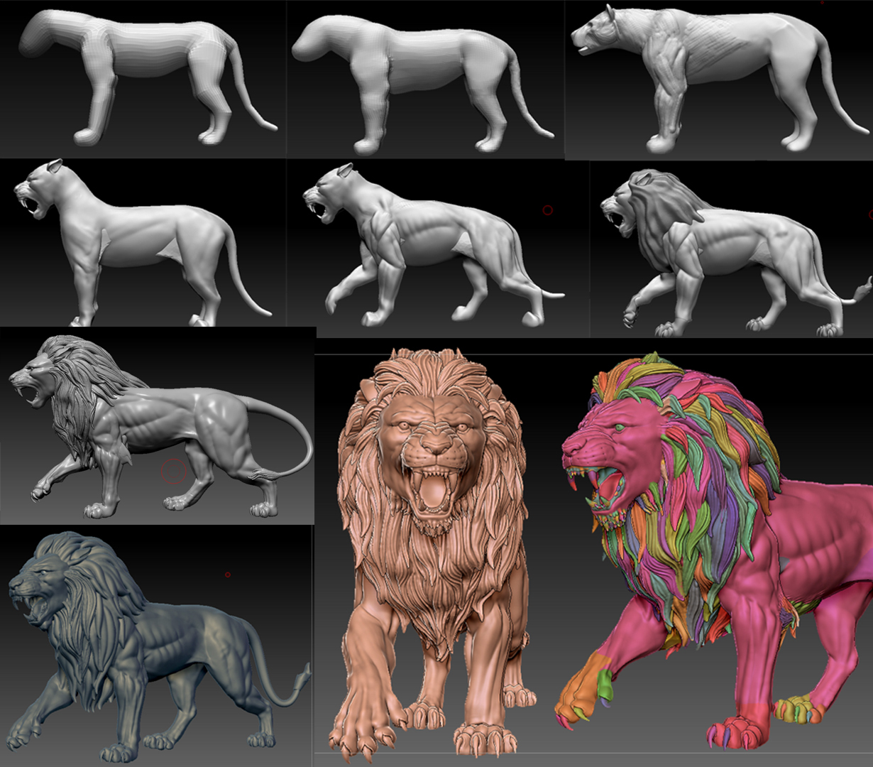lion_progress_photo.jpg