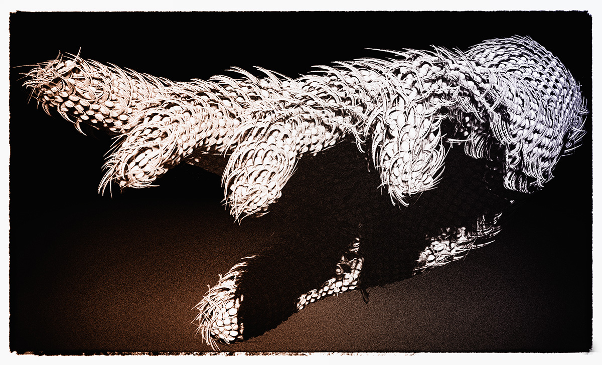 handMesh2.jpg