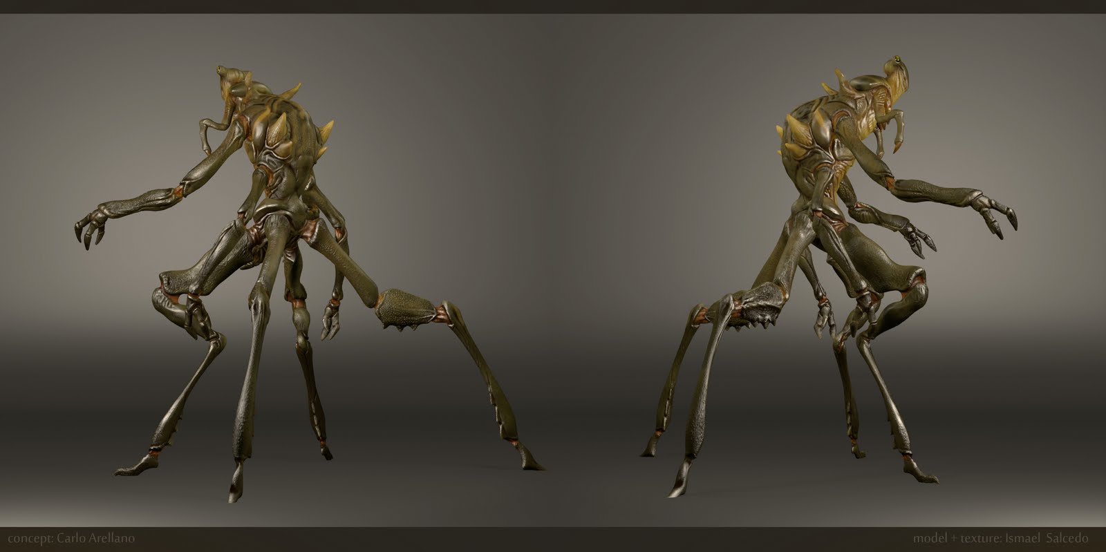 XENO-2.jpg.jpeg