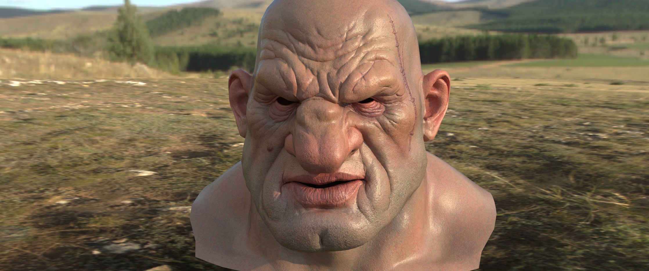 face.jpg