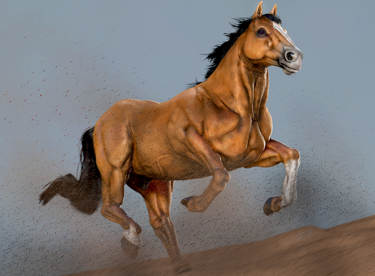 cavalo3.jpg