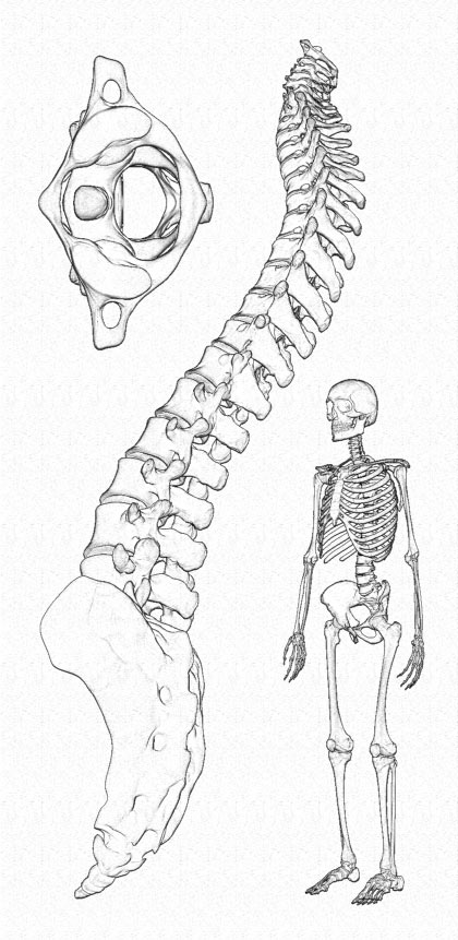 ILLUSTRATION.jpg
