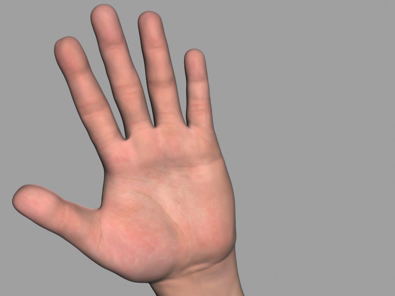 Hand_Render3.jpg