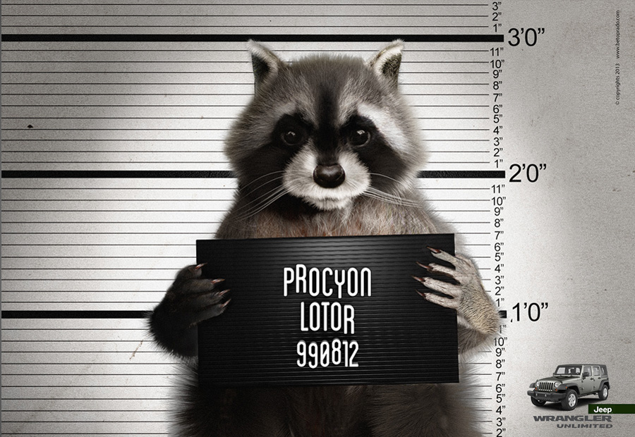 procion01.jpg