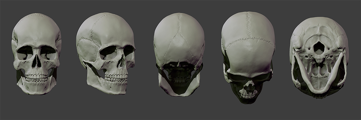 zbrush_zbrushcentral.jpg