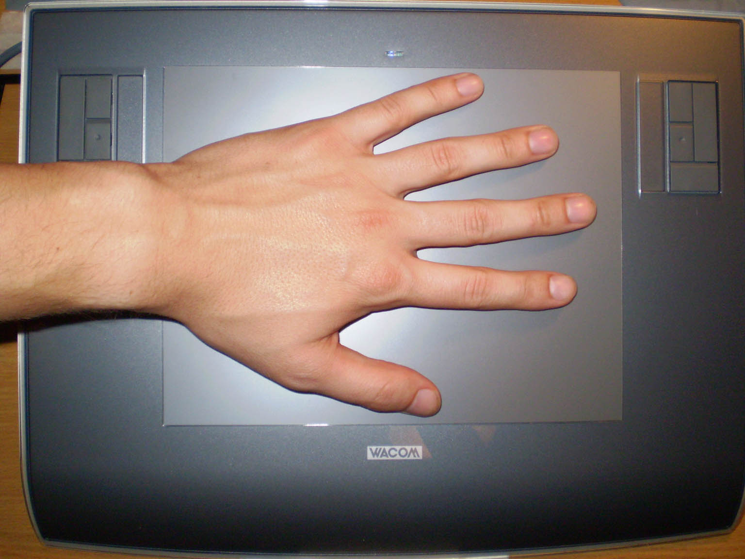 hand_photo.jpg