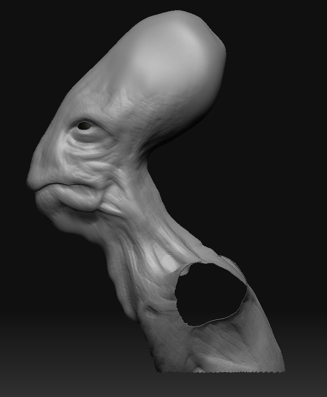 wip_head_1.jpg