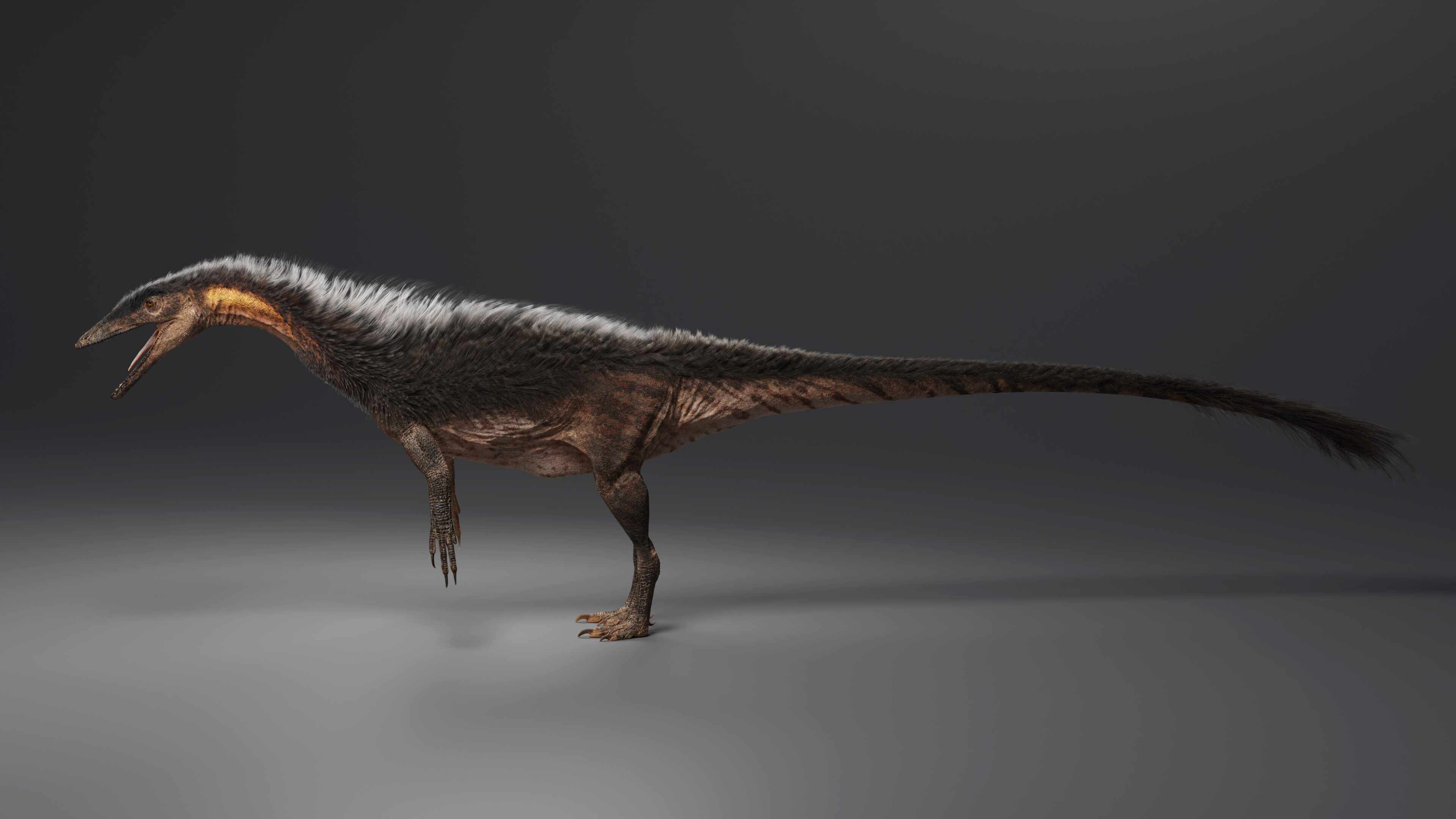 Coelophysis bauri ZBrushCentral