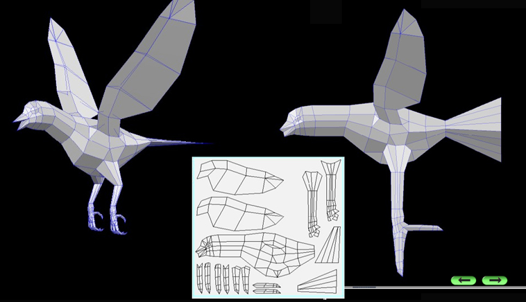 Bird-UV-model.jpg