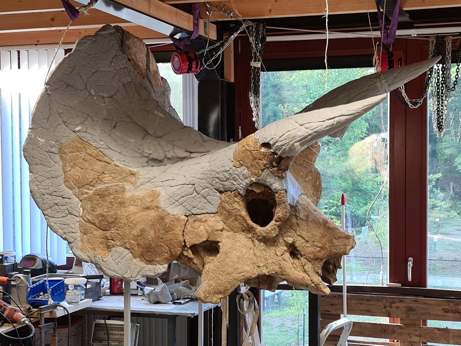 13-WIP image © Aart Walen