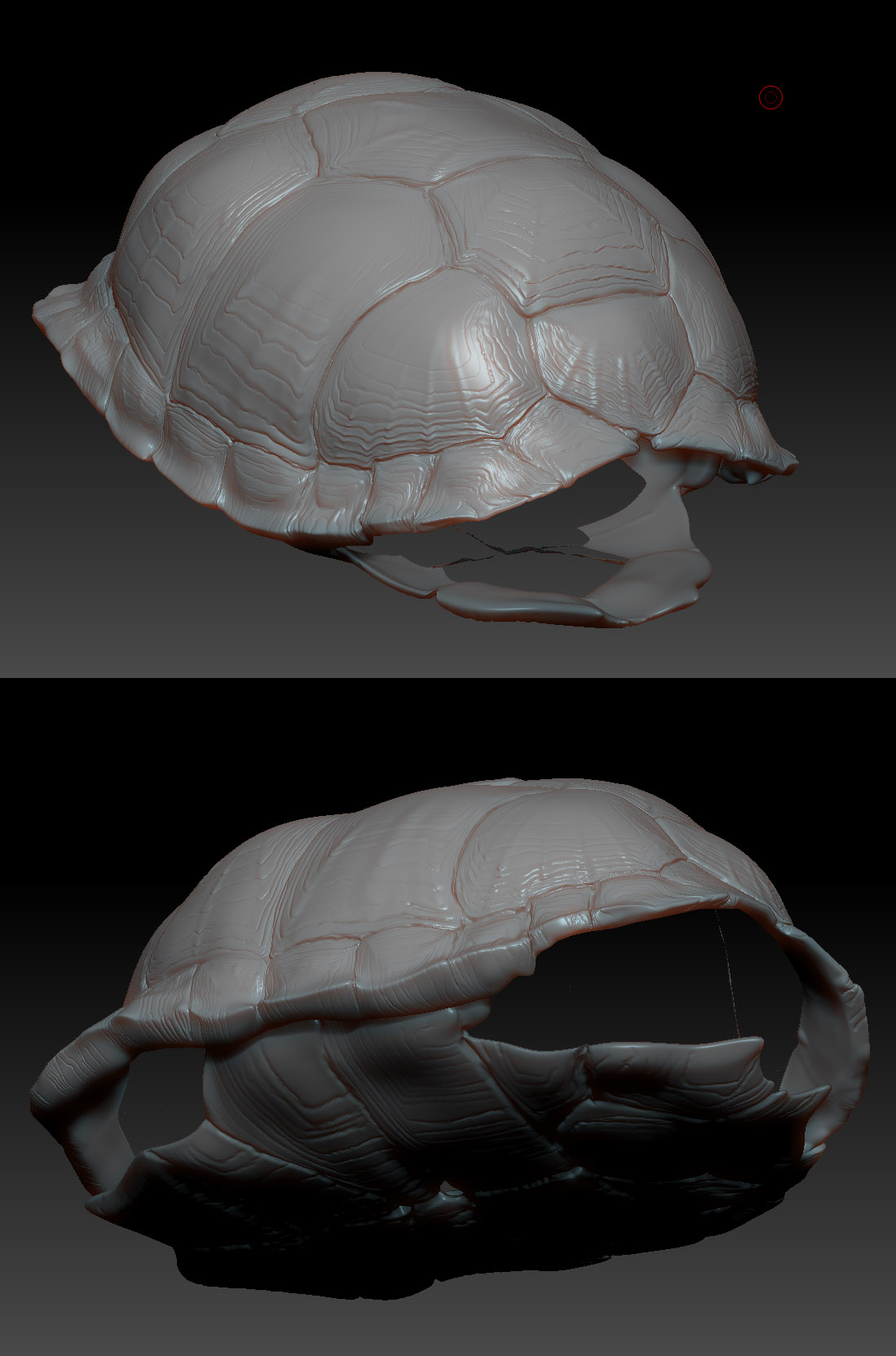 shell.jpg