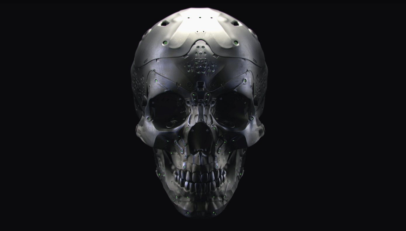 skull_render_2_sm.jpg
