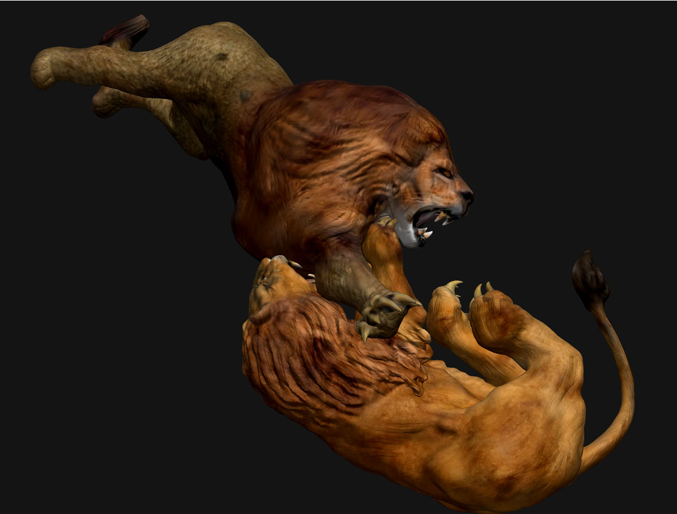 LION FIGHT 14.jpg