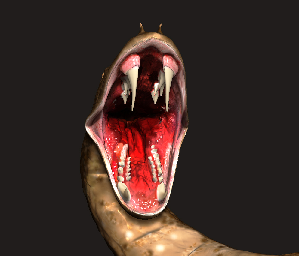 Cre_04.jpg