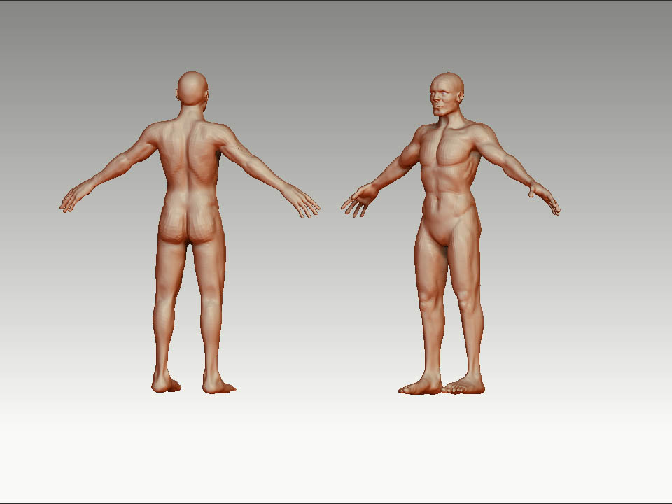 body.jpg