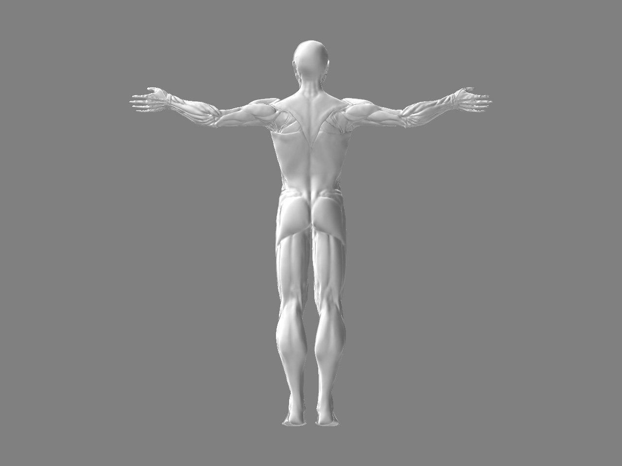 back.jpg